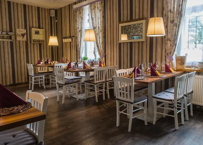 宾馆 Restaurace Stara Lipa *
